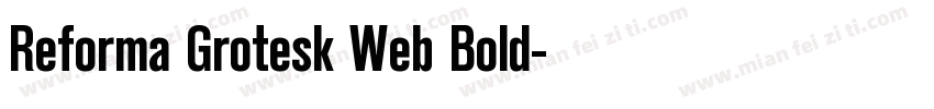 Reforma Grotesk Web Bold字体转换